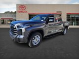 New 2025 Toyota Tundra SR5 image 3