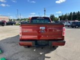 Used 2014 Ford F150 STX w/ Equipment Group 201A Mid image 6