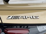 New 2025 Mercedes-Benz AMG GT 63 image 2
