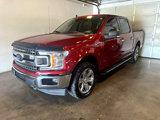 Used 2019 Ford F150 XLT w/ Equipment Group 302A Luxury image 3