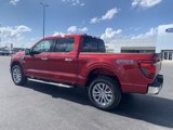 New 2025 Ford F150 XLT image 2
