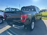 Used 2023 Ford F150 XLT image 3