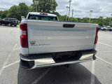 Used 2024 Chevrolet Silverado 1500 W/T w/ WT Fleet Convenience Package image 5