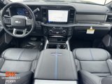New 2025 Ford F250 Platinum image 4