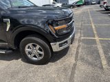 New 2025 Ford F150 XLT w/ Equipment Group 302A MID image 4