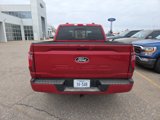 New 2025 Ford F150 XLT image 4
