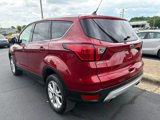 Used 2019 Ford Escape SE image 5