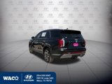 New 2025 Hyundai Palisade SEL image 4
