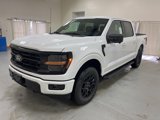 New 2025 Ford F150 XLT image 4
