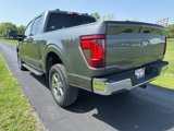 New 2025 Ford F150 XLT image 4