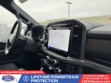 New 2025 Ford F150 XLT w/ Equipment Group 302A MID image 2