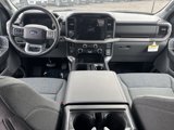 New 2025 Ford F150 XLT w/ Equipment Group 302A MID image 5