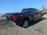 New 2025 Ford F150 XLT w/ Equipment Group 302A MID image 4