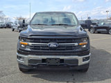 New 2025 Ford F150 XLT image 2