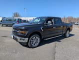 New 2025 Ford F150 XLT w/ Equipment Group 302A MID image 2