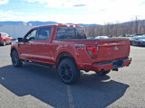 New 2025 Ford F150 XLT w/ Equipment Group 303A High image 4
