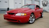 Used 1997 Ford Mustang Cobra image 2