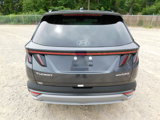 New 2025 Hyundai Tucson Limited image 6