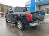 New 2025 Ford F150 XLT w/ Equipment Group 302A MID image 5