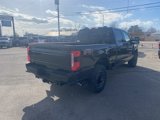New 2025 Ford F250 Platinum image 6