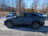 New 2025 Hyundai Tucson Limited image 6