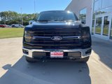 New 2024 Ford F150 XLT w/ Equipment Group 303A High image 3