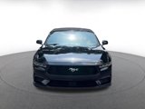 Used 2024 Ford Mustang Premium image 4