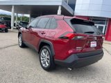 Used 2023 Toyota RAV4 XLE Premium image 5