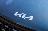 New 2025 Kia Carnival SX Prestige image 6
