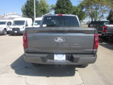 New 2025 Ford F150 XLT w/ Equipment Group 302A MID image 5