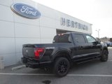 New 2025 Ford F150 XLT image 5