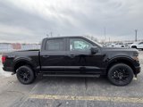 New 2025 Ford F150 STX image 6