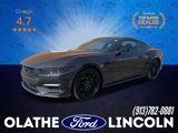 Used 2024 Ford Mustang Coupe w/ Mustang Nite Pony Package image 1