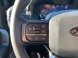 New 2024 Ford F150 XLT w/ Equipment Group 303A High image 4
