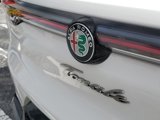 New 2025 Alfa Romeo Tonale w/ Premium Package image 5