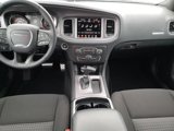 New 2023 Dodge Charger SXT w/ Cold Weather Package image 6
