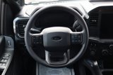 New 2025 Ford F150 STX image 4