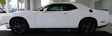 Used 2023 Dodge Challenger SXT w/ Blacktop Package image 2