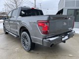 New 2025 Ford F150 XLT image 6