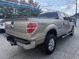 Used 2013 Ford F150 XLT w/ Luxury Equipment Group image 2