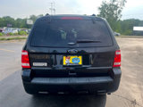 Used 2011 Ford Escape XLT w/ 203A Rapid Spec Order Code image 6