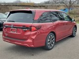 New 2025 Honda Odyssey Elite image 3