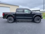 New 2025 Ford F150 Raptor image 2