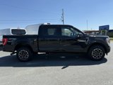 Used 2022 Ford F150 XLT w/ Equipment Group 302A High image 2
