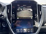 Certified 2025 Subaru Forester Limited image 5