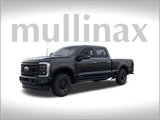 New 2025 Ford F250 Platinum image 2