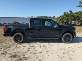 New 2025 Ford F150 XLT image 3