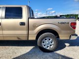 Used 2014 Ford F150 XLT w/ Equipment Group 302A Luxury image 4