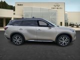 New 2025 INFINITI QX60 Autograph image 6