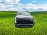New 2025 Hyundai Palisade Limited image 4